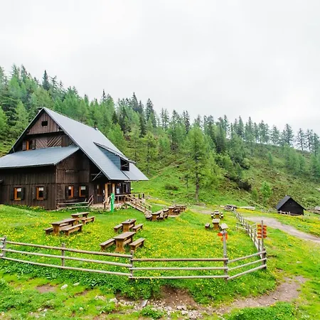 Orman Evi Loka At Raduha